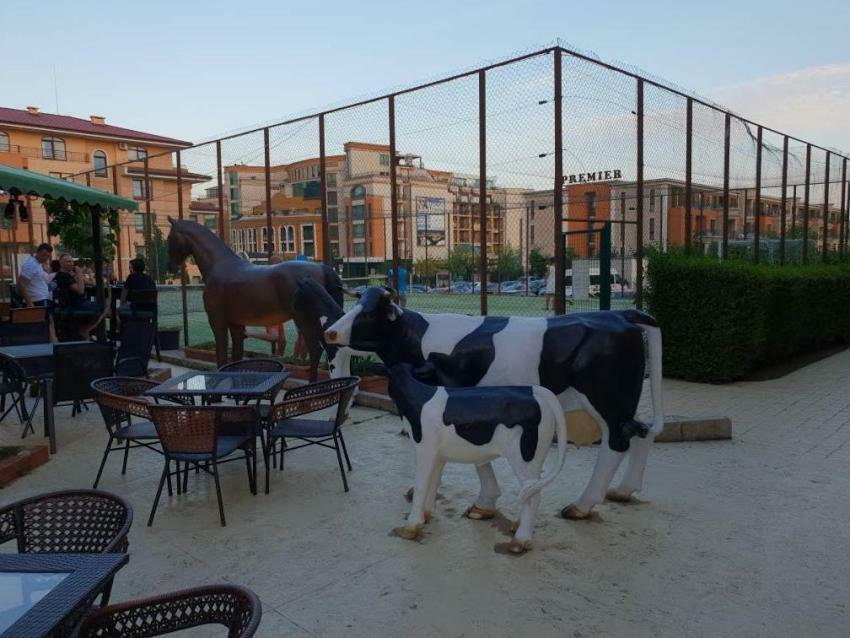 Apartamento Panorama Dreams Sveti Vlas Exterior foto